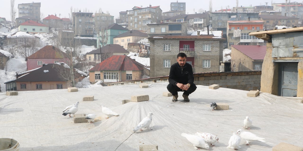 Evinin damında 3 ırktan 50 güvercin besliyor
