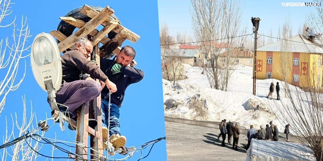 Yüksekova’da leylekler için seferberlik: Tehlikeli yuva taşındı