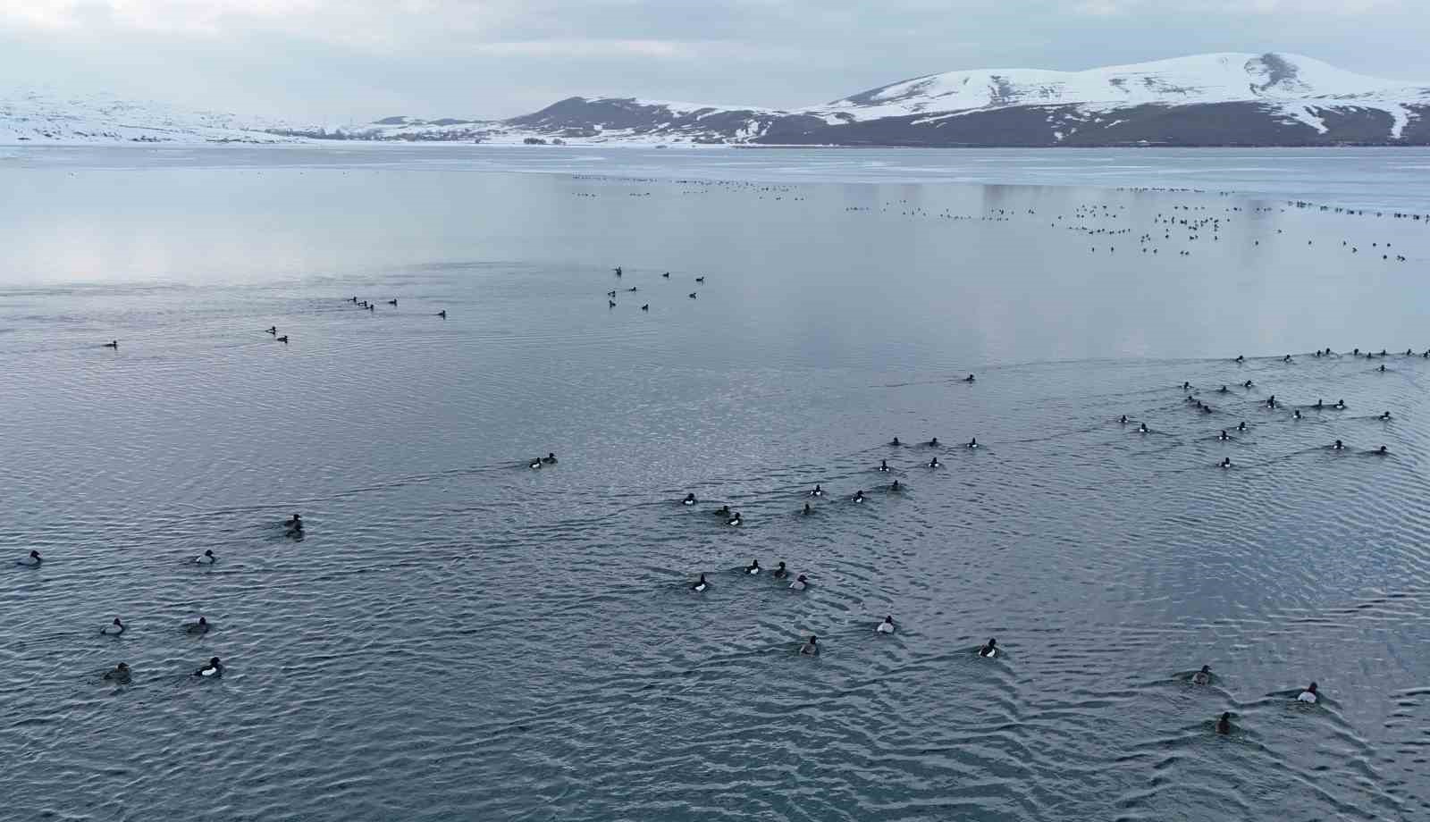 Nazik Gölü’nde buzlar çözüldü