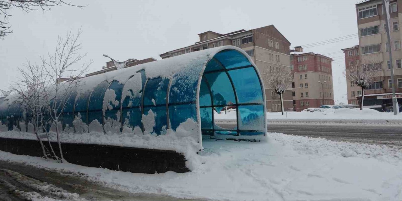 Bitlis’te kar yağışı etkili oldu