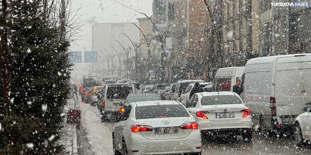 Yüksekova’da kar yağışı etkili oldu