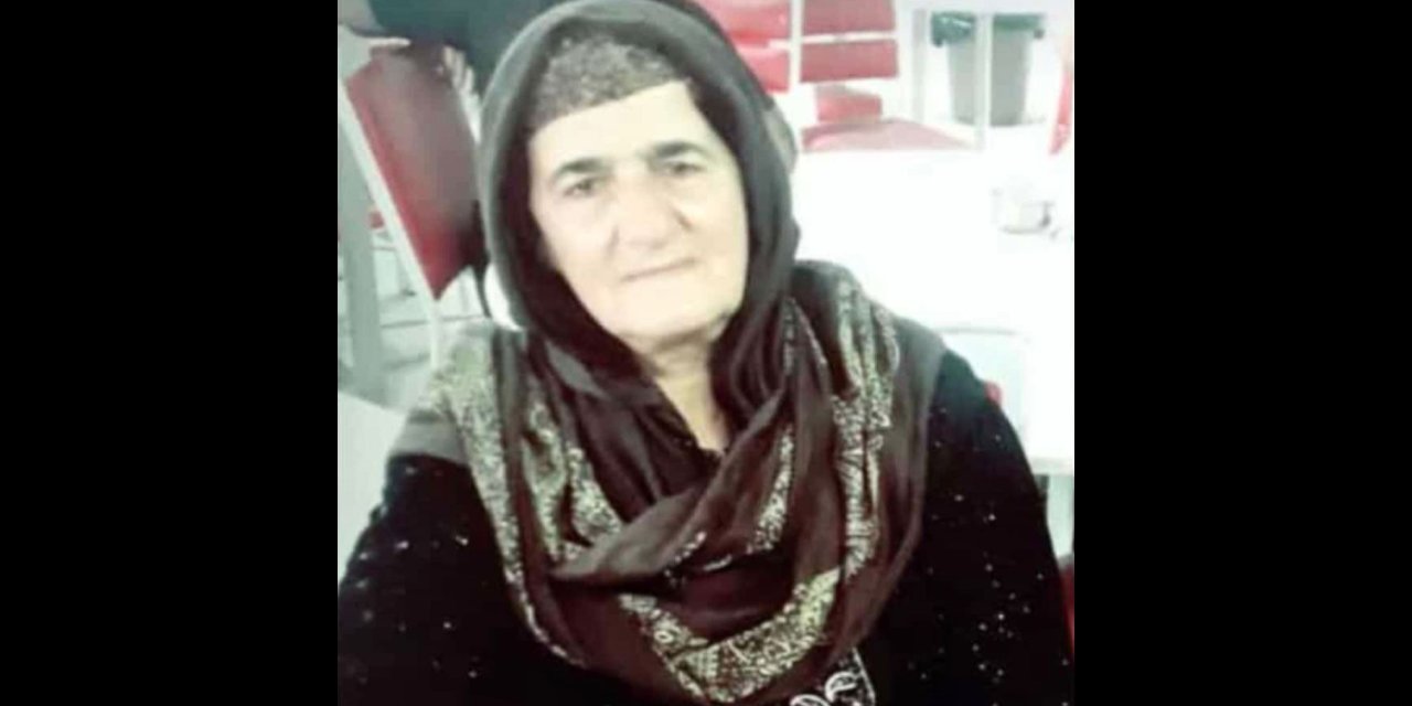 Yüksekovalı Perişan Bala Van’da hayatını kaybetti