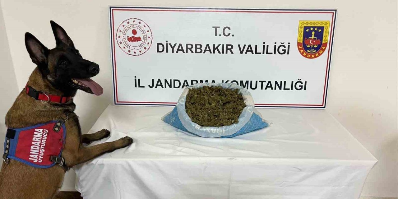 Diyarbakır’da uyuşturucu operasyonu: 14 kişi gözaltına alındı