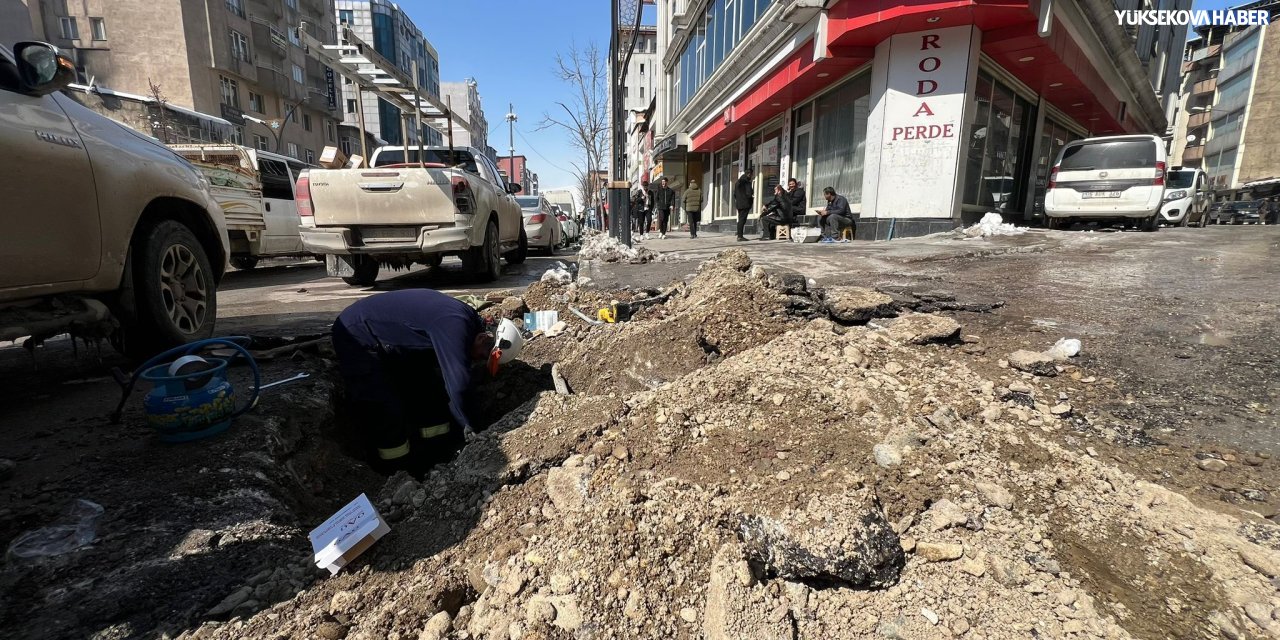 Yüksekova’da kar elektrik hatlarını vurdu: Arızalara müdahale sürüyor