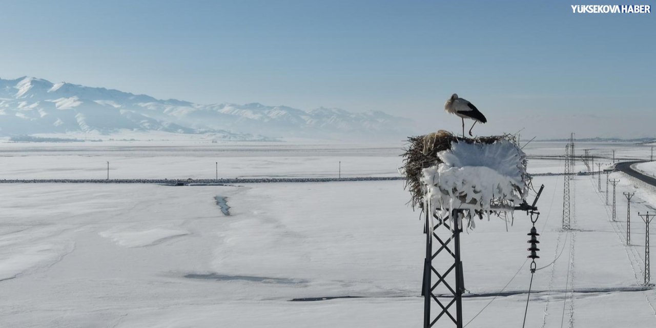 Yüksekova’da nehil sazlığı yeniden buz tuttu