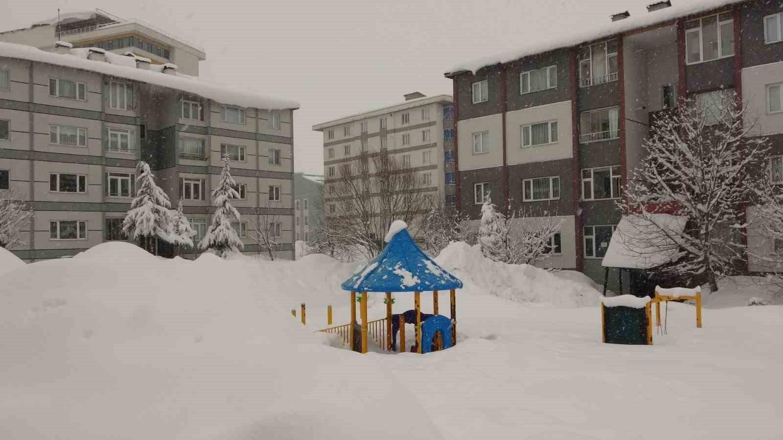 Bitlis’te kar yağışı 288 köy yolu ulaşıma kapattı