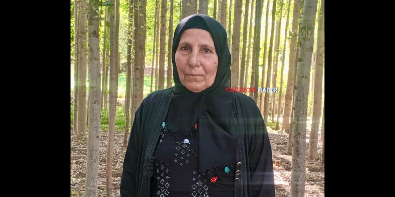 Yüksekovalı Piroze Bayram Van’da hayatını kaybetti