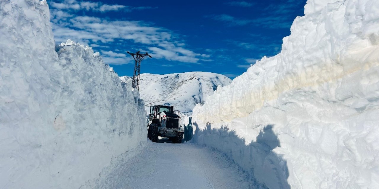 Hakkari’de kapanan tüm köy ve mezra yolları yeniden açıldı
