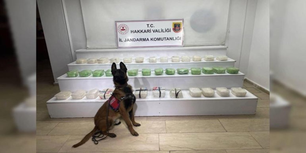 Van ve Hakkari'de uyuşturucu operasyonu; 15 gözaltı