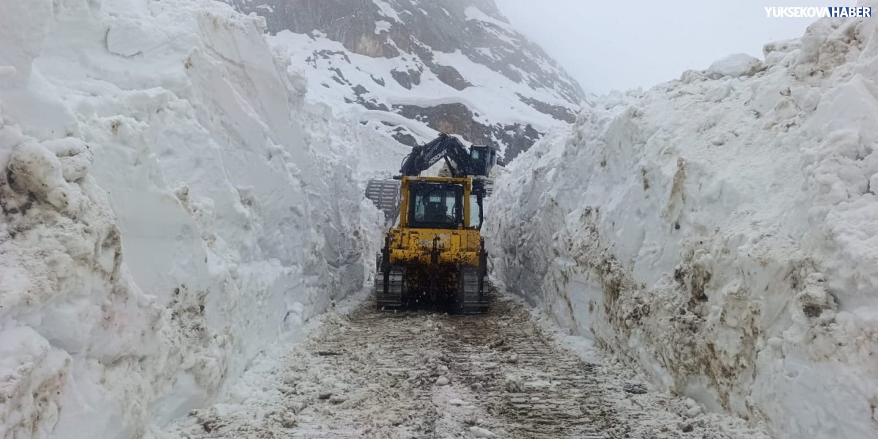 Hakkari’de 56 yerleşim yerinin yolu kapandı