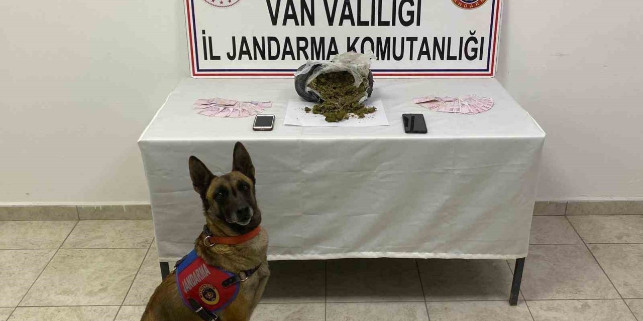 Van’da 1 kilo 64 gram skunk maddesi ele geçirildi