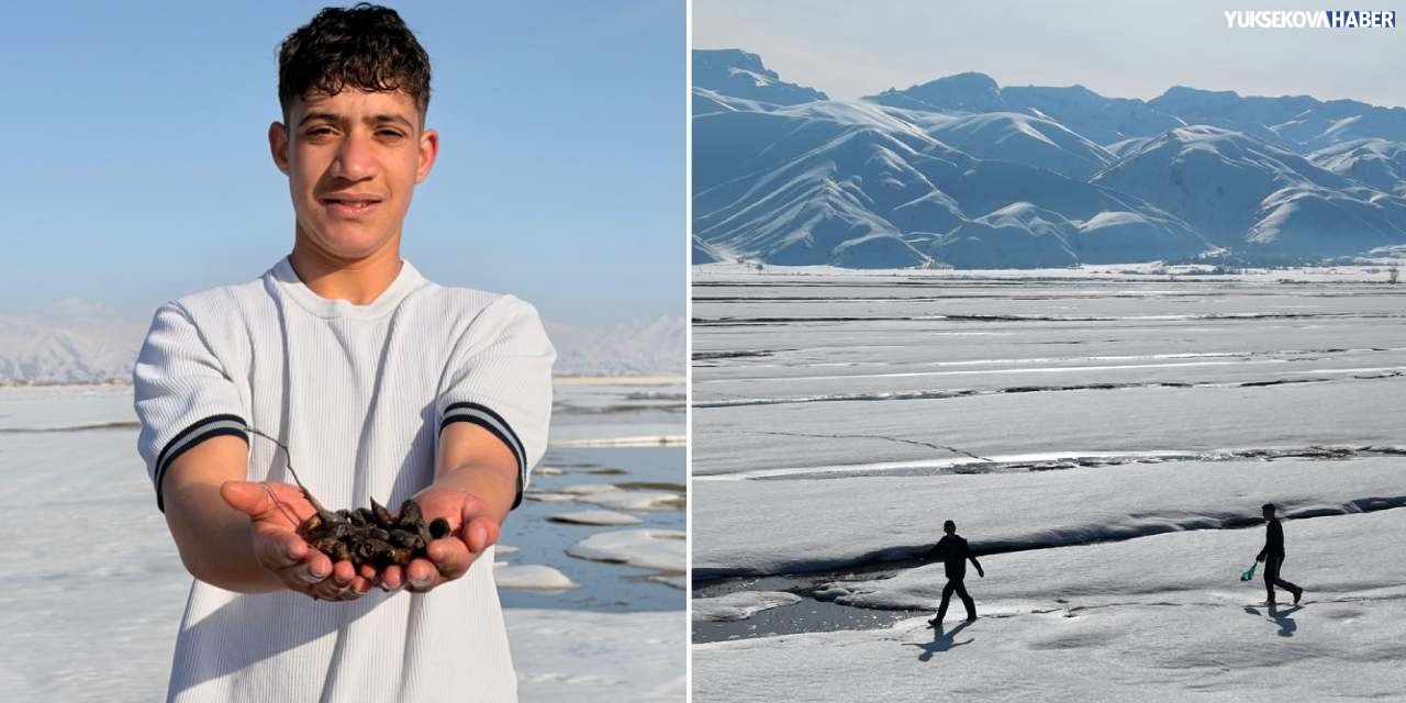 Yüksekova’da 'Xencik' mesaisi başladı