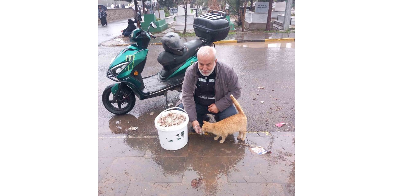 Bayramda sokak hayvanlarını unutmadı