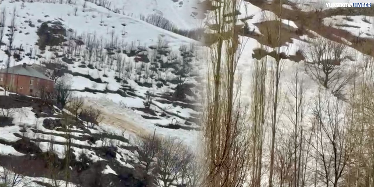 Yüksekova’nın Yeşiltaş köyünde çığ paniği