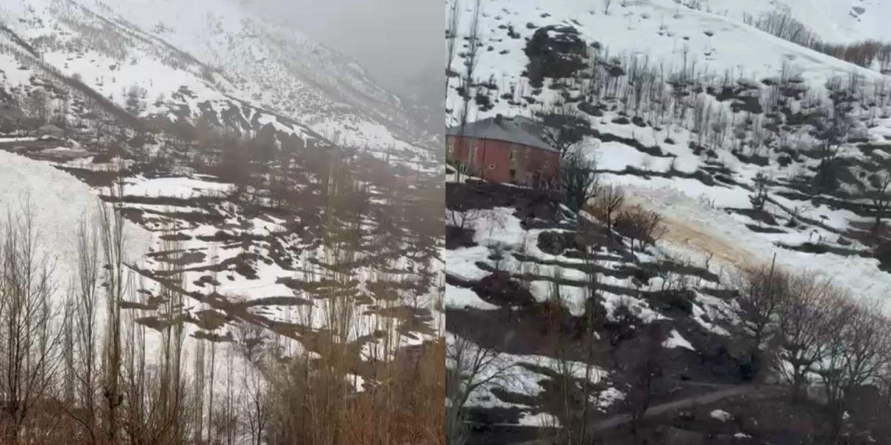 Yeşiltaş köyünde çığ yerleşim alanına kadar indi