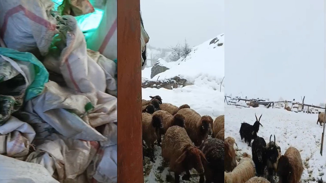 Hakkari’de 1,5 metrelik kar: Çiftçilerden yem desteği çağrısı