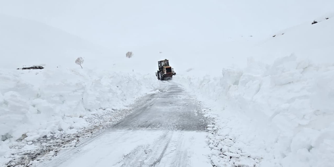 Hakkari’de 82 yerleşim yerinin yolu kapandı