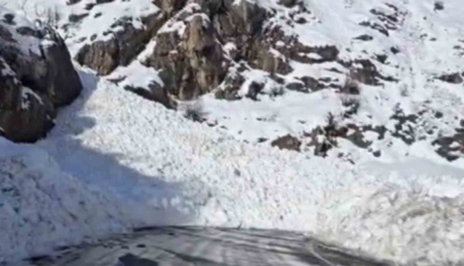 Şırnak-Hakkari kara yolu çığ nedeniyle ulaşıma kapandı