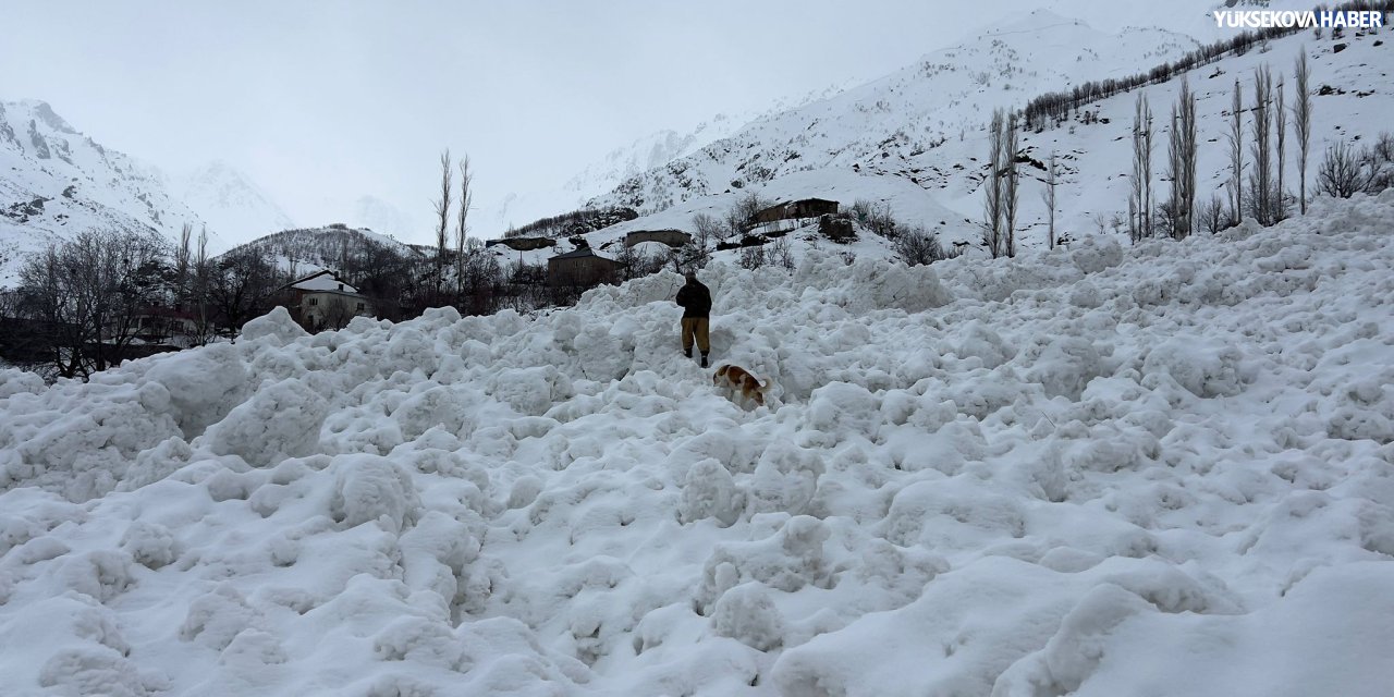 Yeşiltaş’ta çığ köy yolunu kapattı