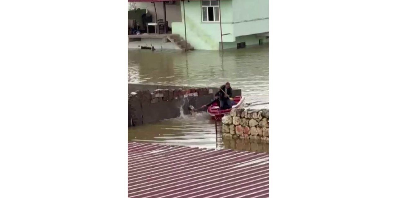 Su taşkınında evde mahsur kalan köpek, vatandaşların bindiği botla kurtarıldı