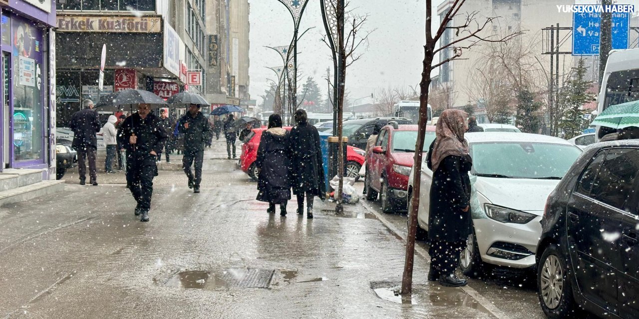 Yüksekova’da kar yağışı etkili oldu