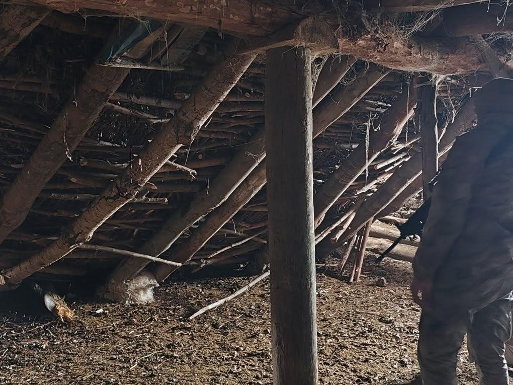 Hakkari'de ahır çöktü 5 hayvan telef oldu