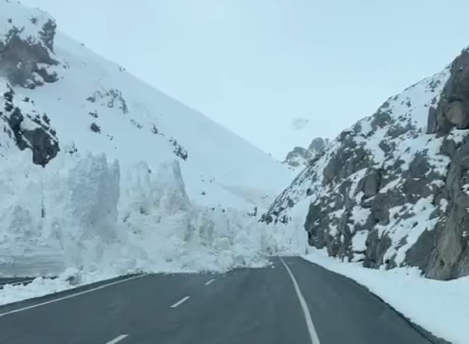 Van-Hakkari karayoluna çığ düştü; yol ulaşıma kapandı
