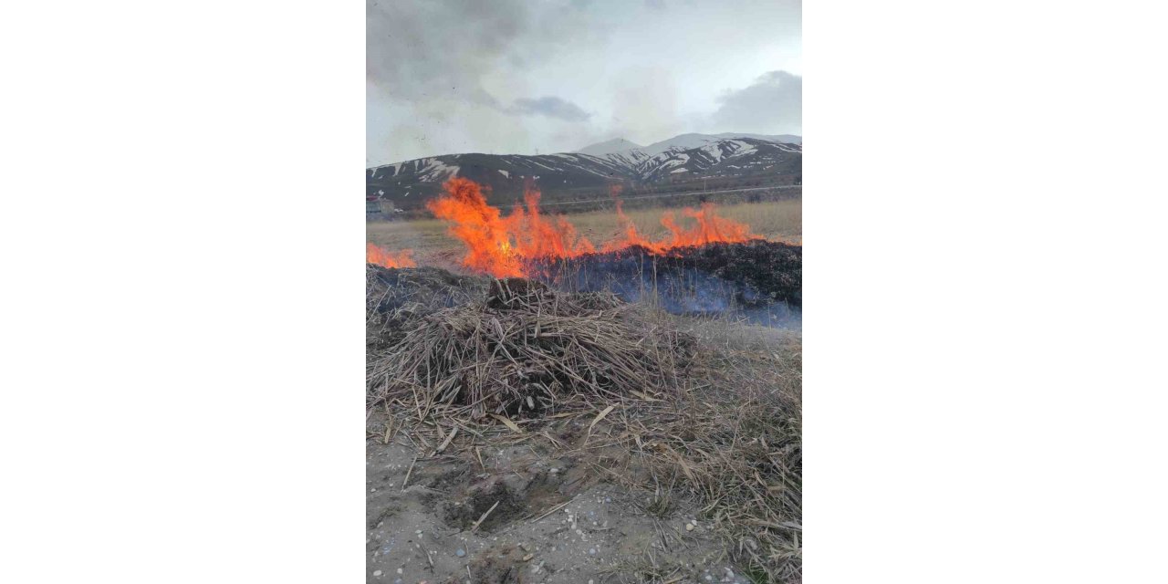 Van’ın Gevaş ilçesinde anız yangını