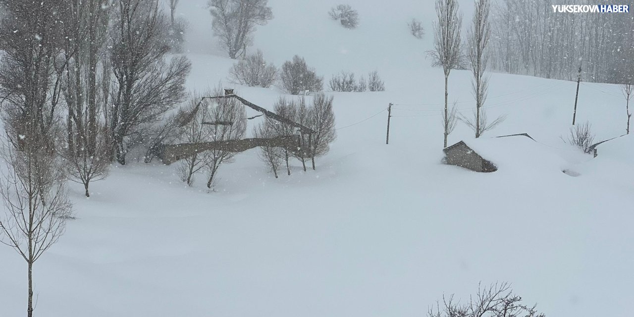 Yüksekova’da Yeniışık köyü kara gömüldü; ekipler çalışma başlattı