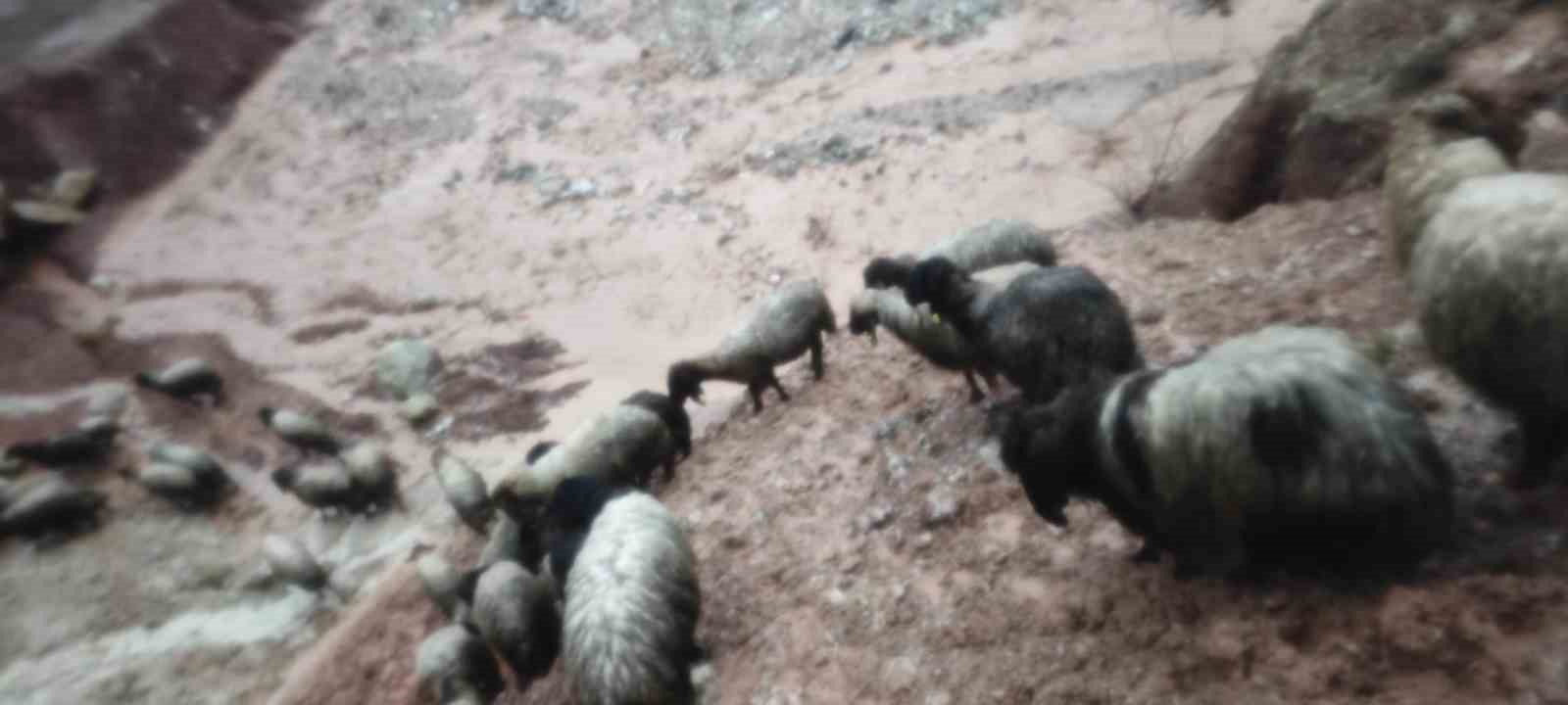 Şırnak’ta sel göçerleri vurdu