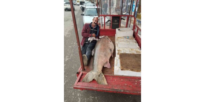 Diyarbakır’da 120 kiloluk turna balığı görenleri hayrete düşürdü