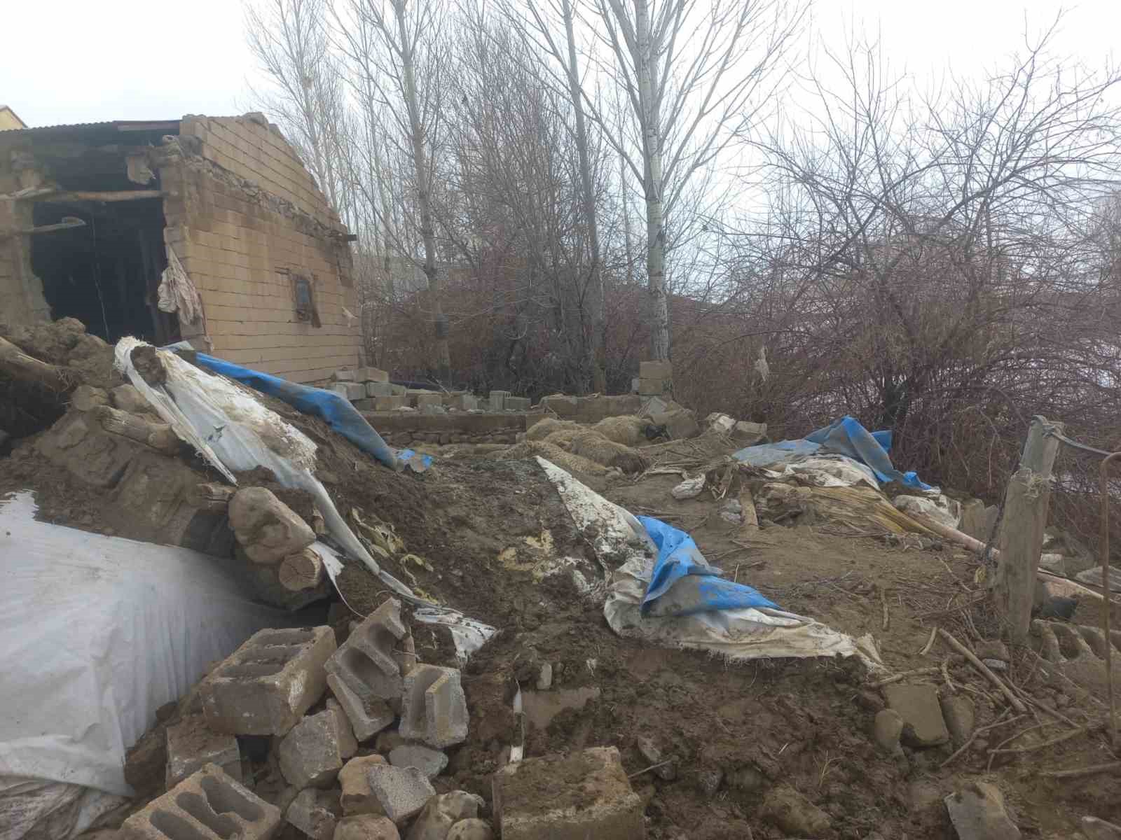 Van’da ahır çöktü, 23 küçükbaş hayvan telef oldu