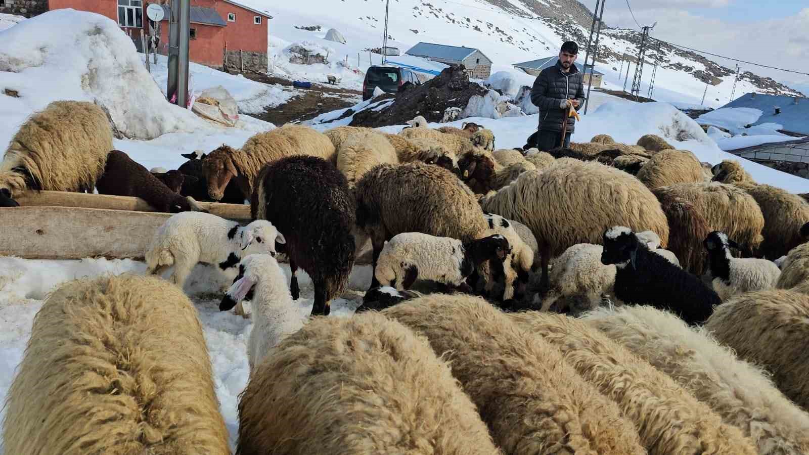 Aydınlar beldesinde iki mevsim bir arada yaşanıyor