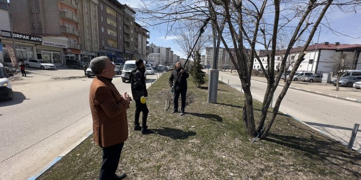İpekyolu’nda refüjlerde bakım çalışması