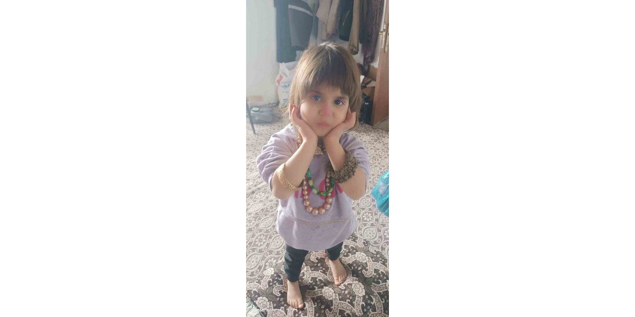 Hizan’da kayıp kız çocuğu için arama çalışması başlatıldı