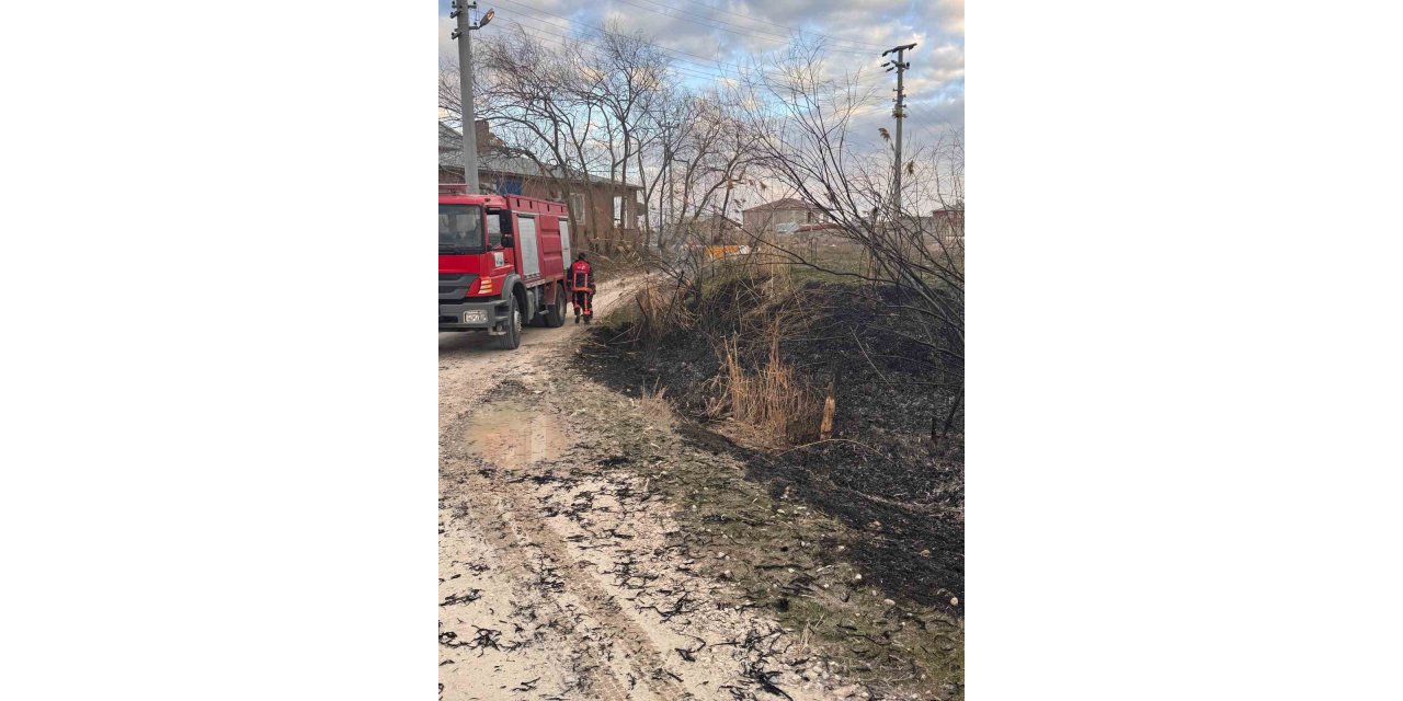 Van’da sazlık alanda yangın