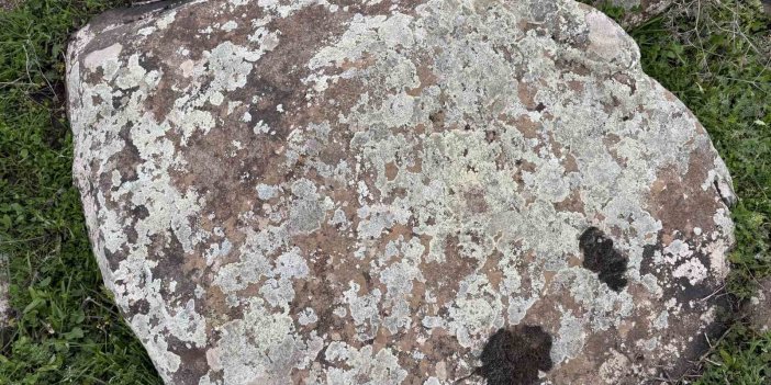 Taşların üzerindeki yosunları kına gibi kullanıyorlar