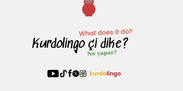 Kurdolingo yayına başladı: Kürtçe’nin üç lehçesi tek platformda