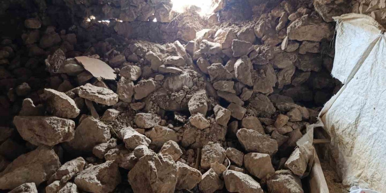 Van’daki depremde bir ahırın duvarı çöktü