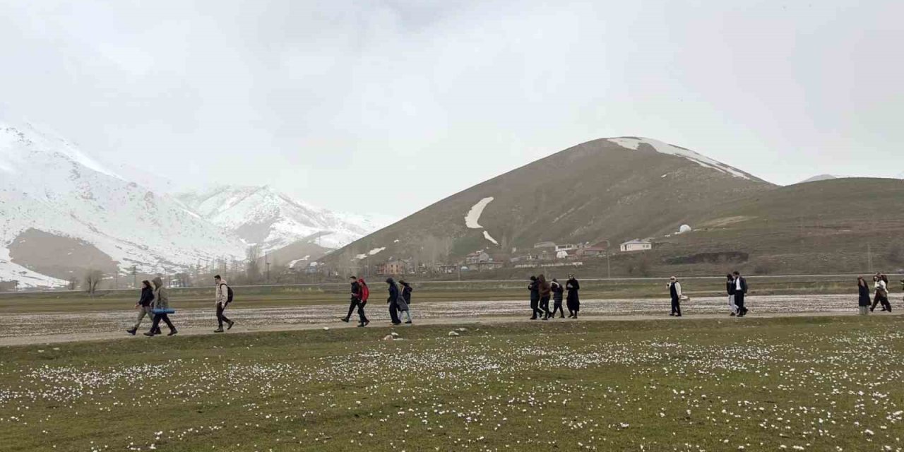 Üniversite öğrencilerinden çiğdemler arasında doğa yürüyüşü