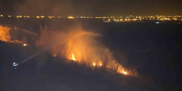 Van’da sazlık alanda yangın