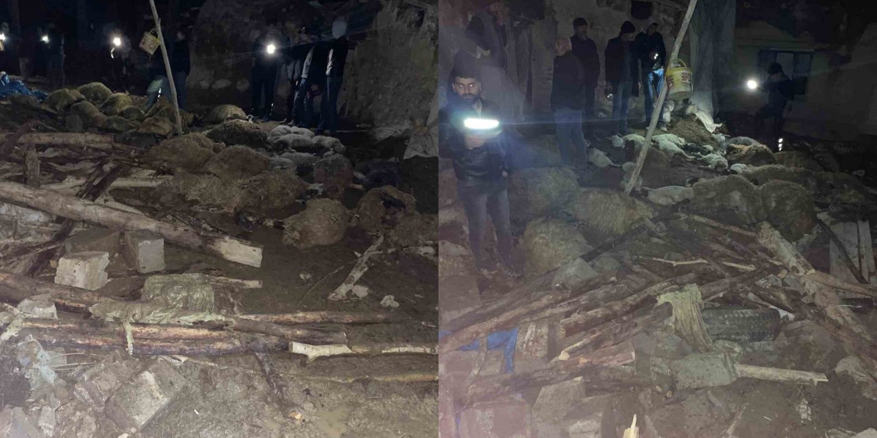 Gürpınar'da ahır çöktü: 56 küçükbaş hayvan telef oldu