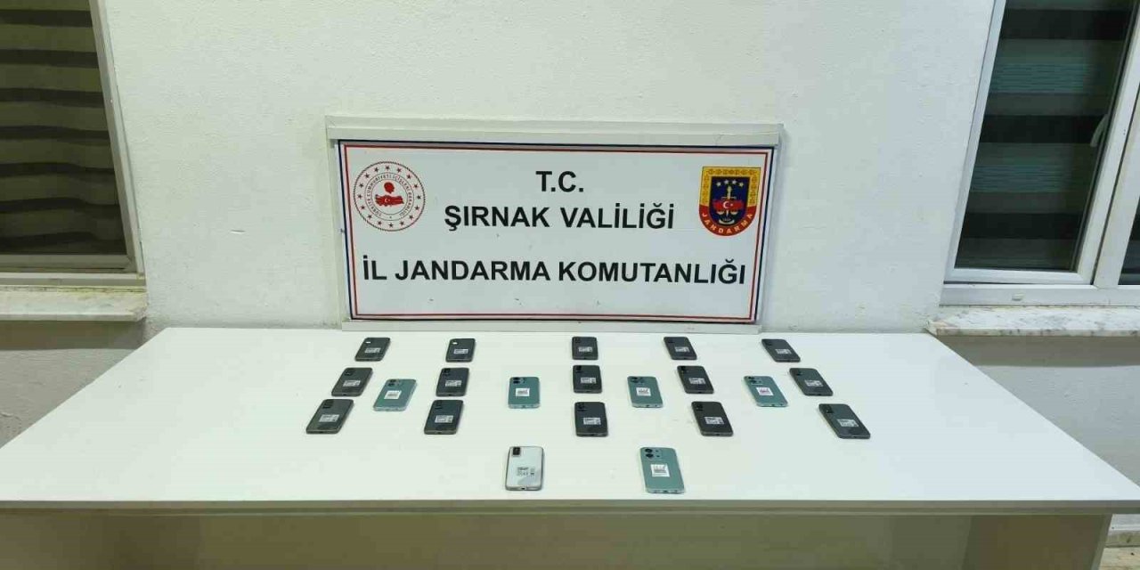 Şırnak’ta jandarma ekiplerinden 20 milyonluk kaçakçılık operasyonu