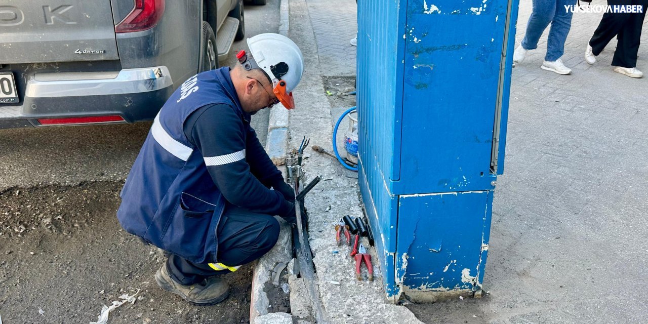 Yüksekova’da kışın zarar gören aydınlatma hatları onarılıyor