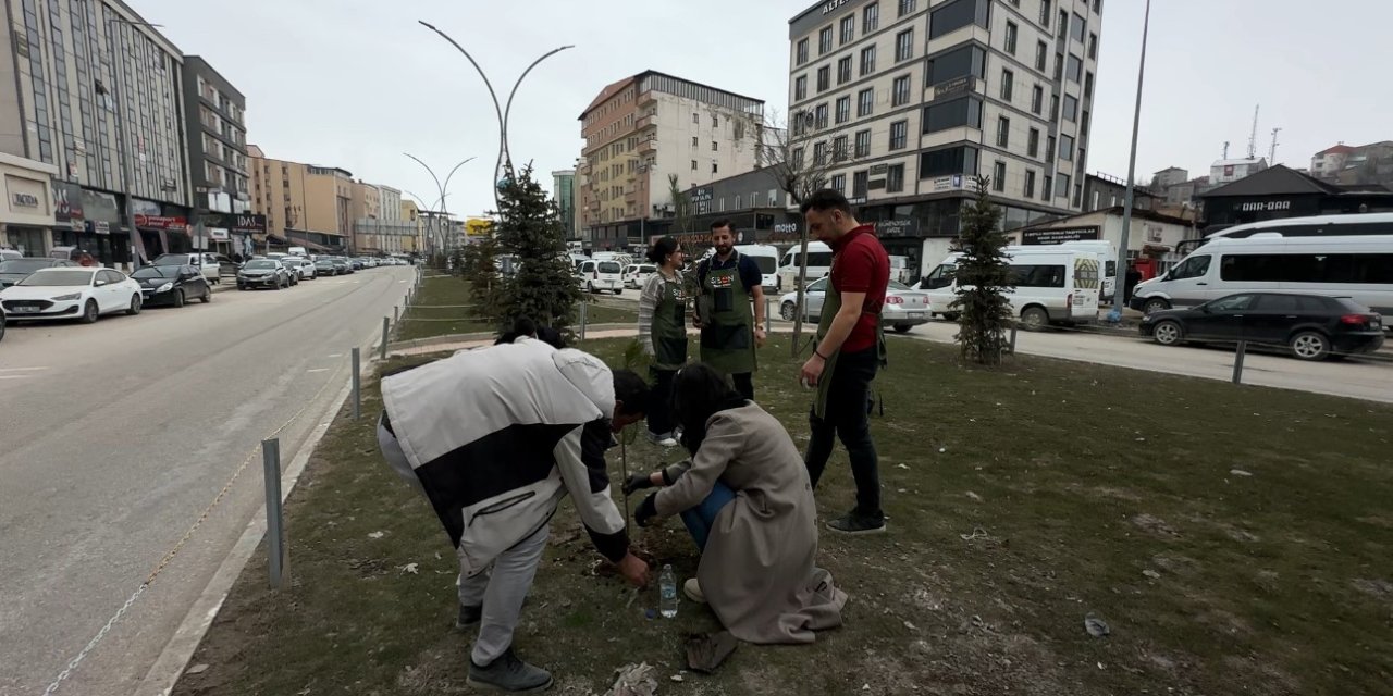 Yüksekovalı girişimci kadın çevreye dikkat çekmek için fidan dikti