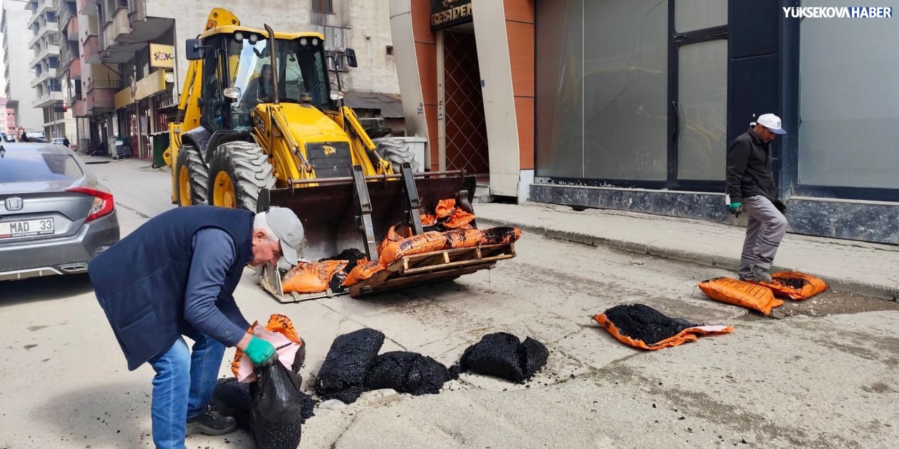 Yüksekova’da bozuk yollarda yama çalışmaları sürüyor