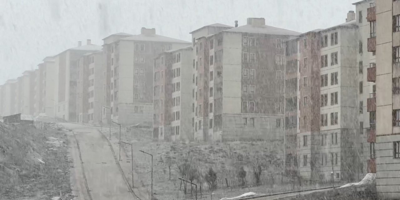 Yüksekova’da kar ve sis etkili oldu