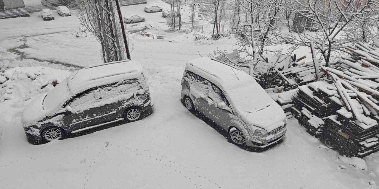 Bitlis’te nisanda kara kış: 84 köy yolu ulaşıma kapandı