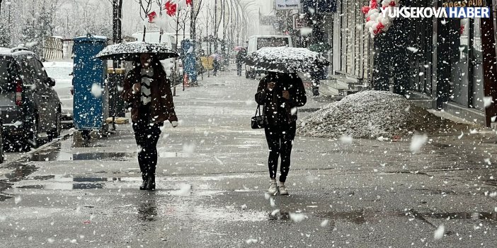 Yüksekova’da Nisan ayında kar yağışı etkili oldu