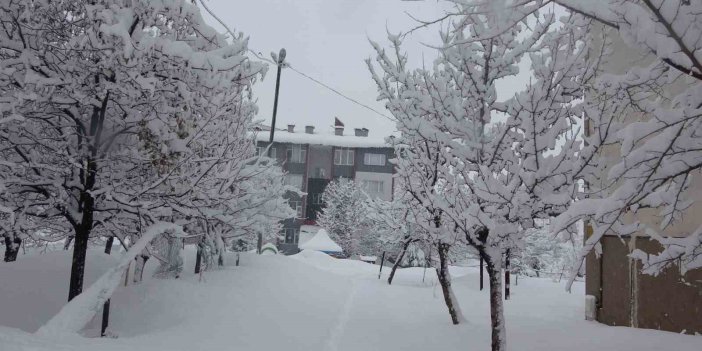 Bitlis’te 111 köy yolu ulaşıma kapandı